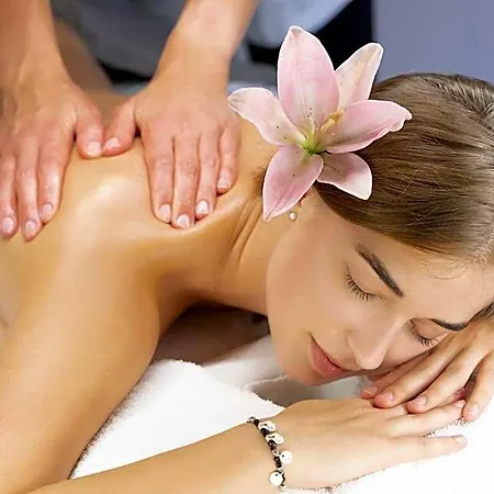 Aplend Wellness Borovica 4*