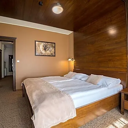 Hotel Aplend Wellness Borovica 4*